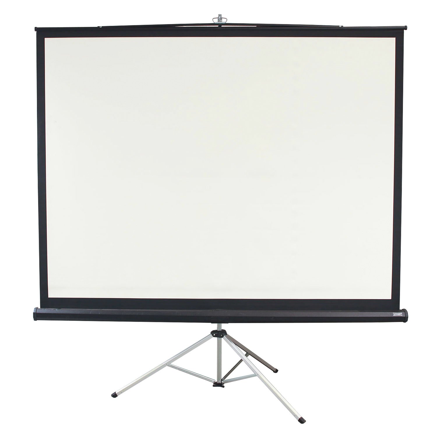 DaLite Used Projector Screen, Black and White National Office