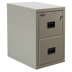 FireKing Turtle Used 2 Drawer Vertical File, Taupe