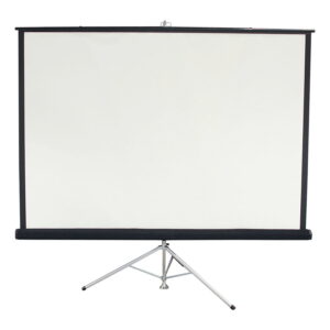 Used Projector Screen, Black and White