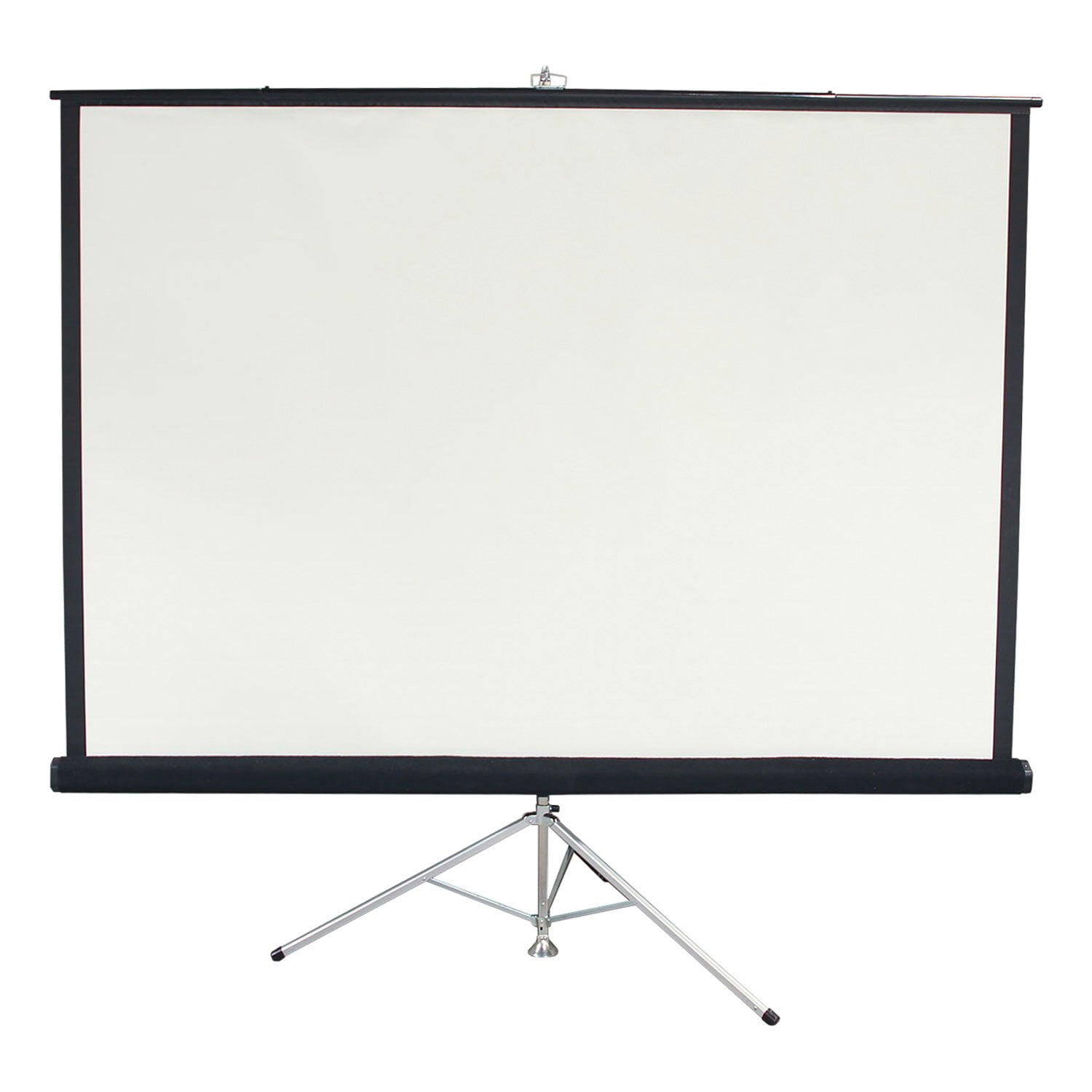 Used Projector Screen, Black and White