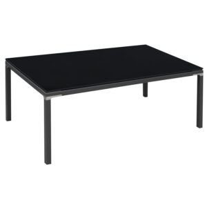goSIT New 24x48 Glass Coffee Table, Black