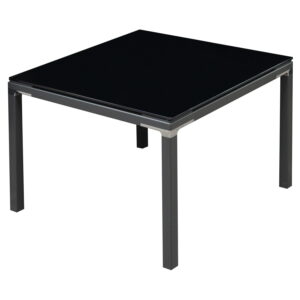 goSIT New 24x24 Glass End Table, Black