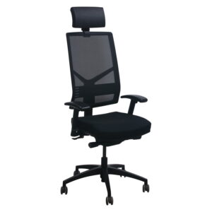 Gido Kodama Zeta Used Mesh Back Task Chair with Headrest, Black