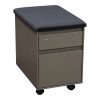 Steelcase Used Box File Mobile Pedestal with Midnight Gray Top, Taupe