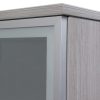 Everyday Cement glass door hutch