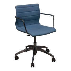 Modern Used Mid Back Chair, Light Blue