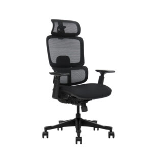 Rowan by goSIT Mesh Back Task Chair w Headrest, Black