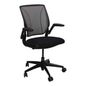 Humanscale Diffrient World Used Light Mesh Back Task Chair, Smooth Black